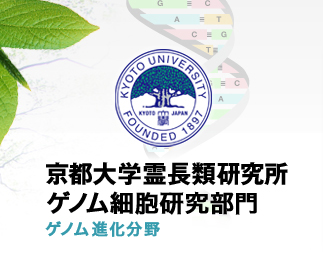 京都大学霊長類研究所分子生理部門 遺伝子情報分野 ゲノム進化分科