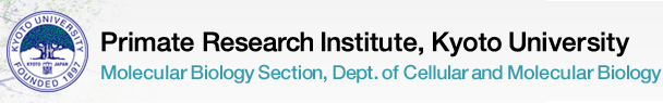 Center for the Evolutionary Origins of Human Behavior Molecular Biology Section, Dept. of Cellular and Molecular Biology