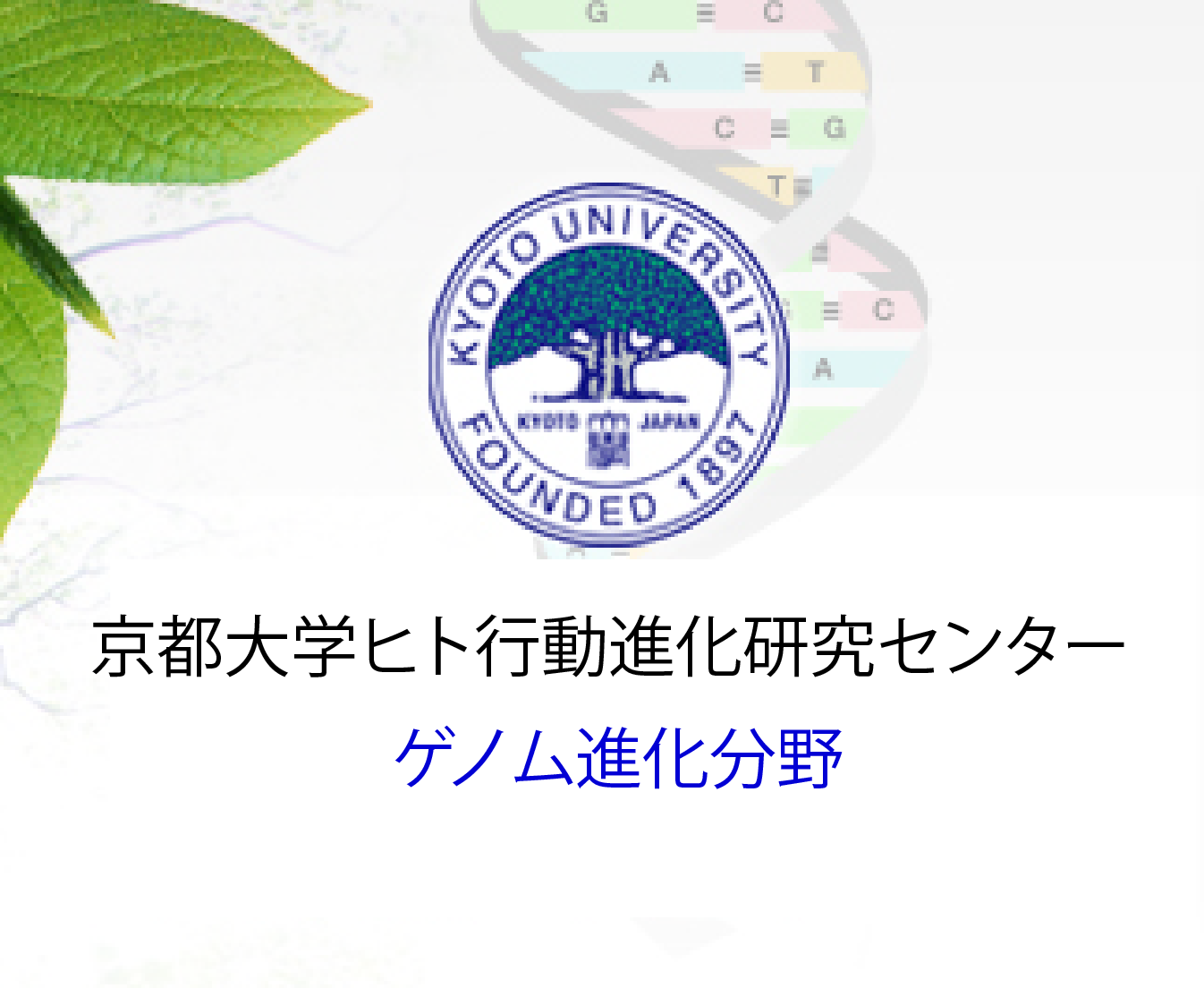 京都大学ヒト行動進化研究センター ゲノム進化分野  ゲノム細胞分科