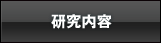 研究内容
