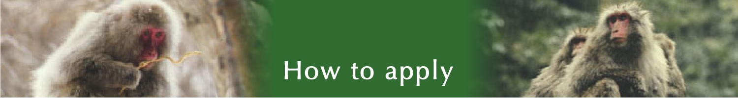 How to apply