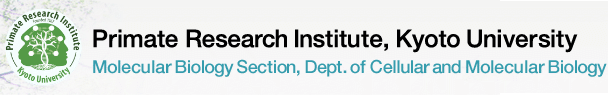 Primate Research Institute, Kyoto University Molecular Biology Section, Dept. of Cellular and Molecular Biology